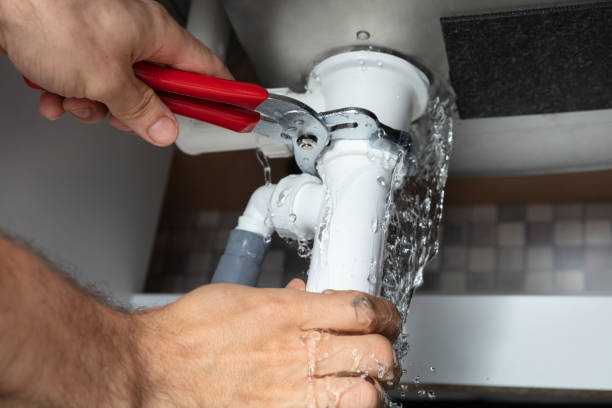 Best Water damage restoration specialists  in Chanhassen, MN