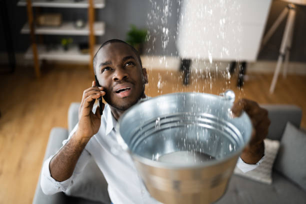 Best Water damage contractors near me  in Chanhassen, MN
