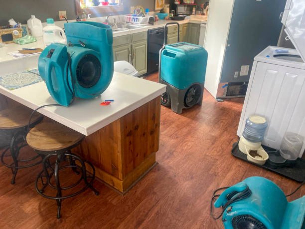 Best Mold removal after water damage  in Chanhassen, MN