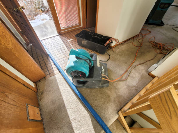 Trusted Chanhassen, MN Water damage restoration Experts