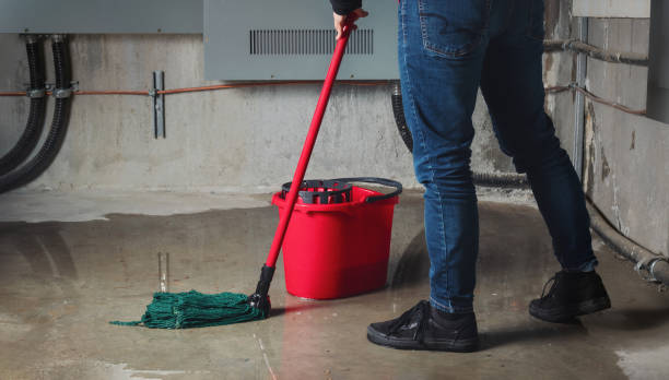 Best Basement water damage restoration  in Chanhassen, MN