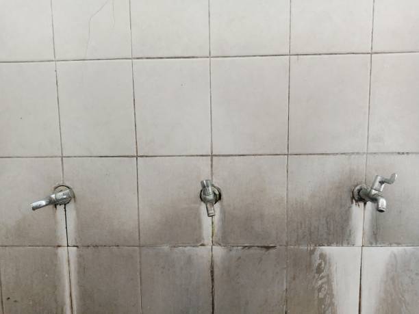 Best Sewage cleanup and water damage restoration  in Chanhassen, MN