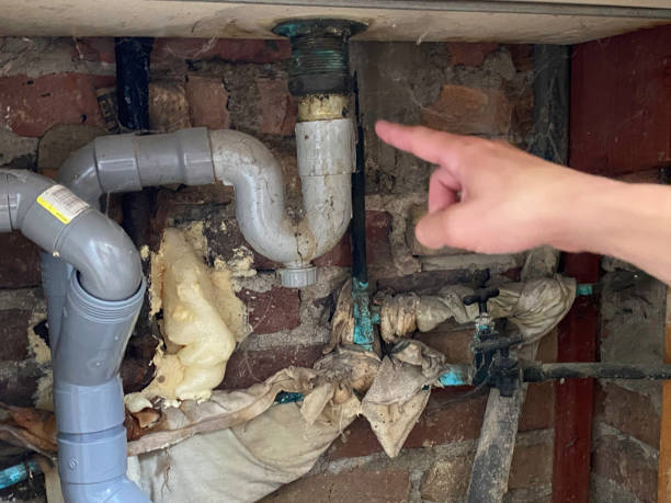 Best Water damage repair service  in Chanhassen, MN