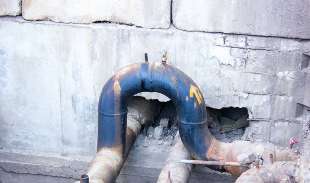 Best Professional water damage repair  in Chanhassen, MN