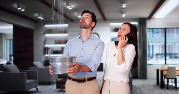 Best 24-hour water damage restoration  in Chanhassen, MN